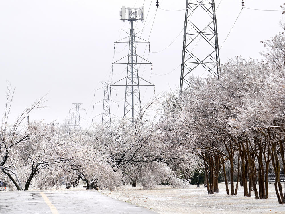 An iced over pedestrian walkway is lined by trees that are covered with ice from a few days of sleet and rain, Thursday, Feb. 2, 2023, in Dallas.