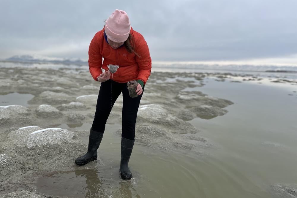 Carly Biedul of the Great Salt Lake Institute is collecting lab samples on a recent chilly morning on the lake's receding south shoreline.