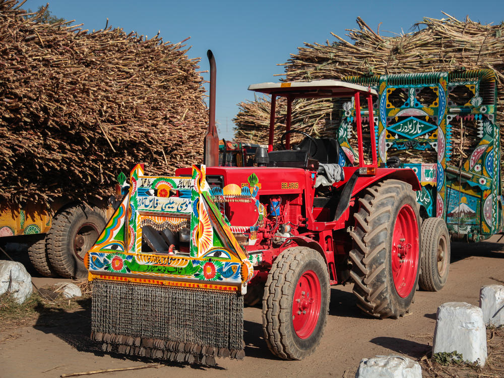 A Belorusian tractor laden with harvested sugarcane idles outside a sugar mill.