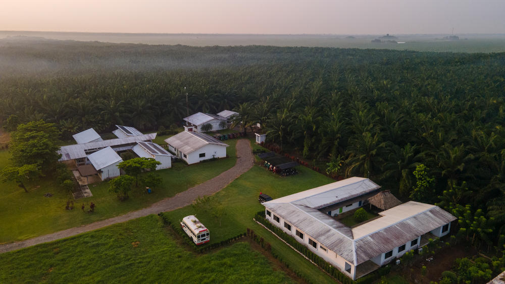 The Fundación para la Salud Integral de los Guatemaltecos (FunSalud for short) is part clinic, part laboratory — a top-shelf public health facility carved into the edge of a banana plantation.