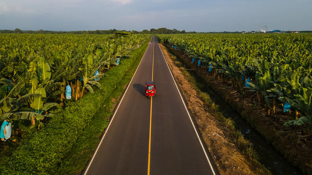 The tuk-tuk is the vehicle of choice for the researchers and nurses of FunSalud to nimbly and quickly make their way into the surrounding neighborhoods. Here, Damaris Sanchez makes her way along a vast banana plantation.