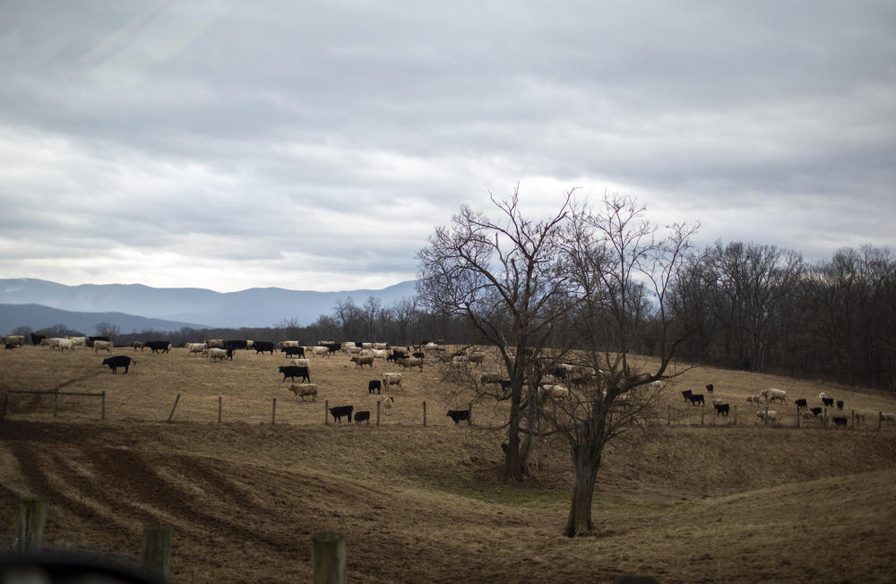 Houser says Page County residents who fought solar development were driven by a not-in-my-back-yard mentality. 