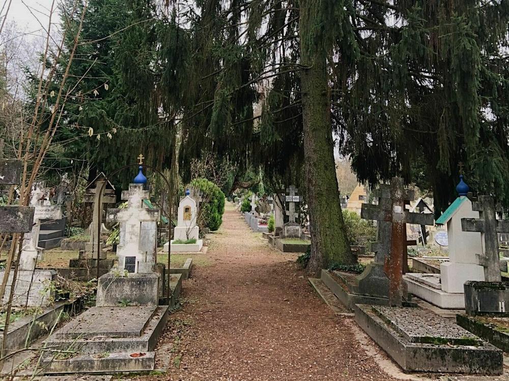 A wooded alley in the Russian Orthodox cemetery in Sainte-Geneviève-des-Bois, France.