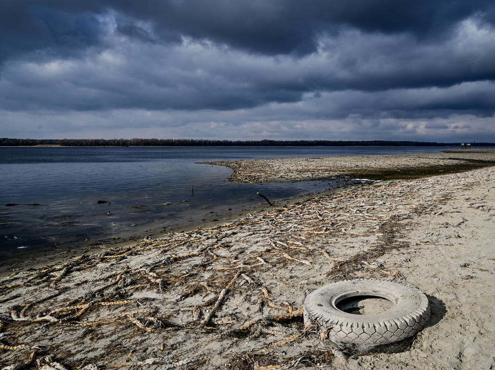 Dropping water levels in the Zaporizhzhia region of Ukraine have exposed fishing nets and roots of aquatic plants along the shoreline of the Dnipro river.