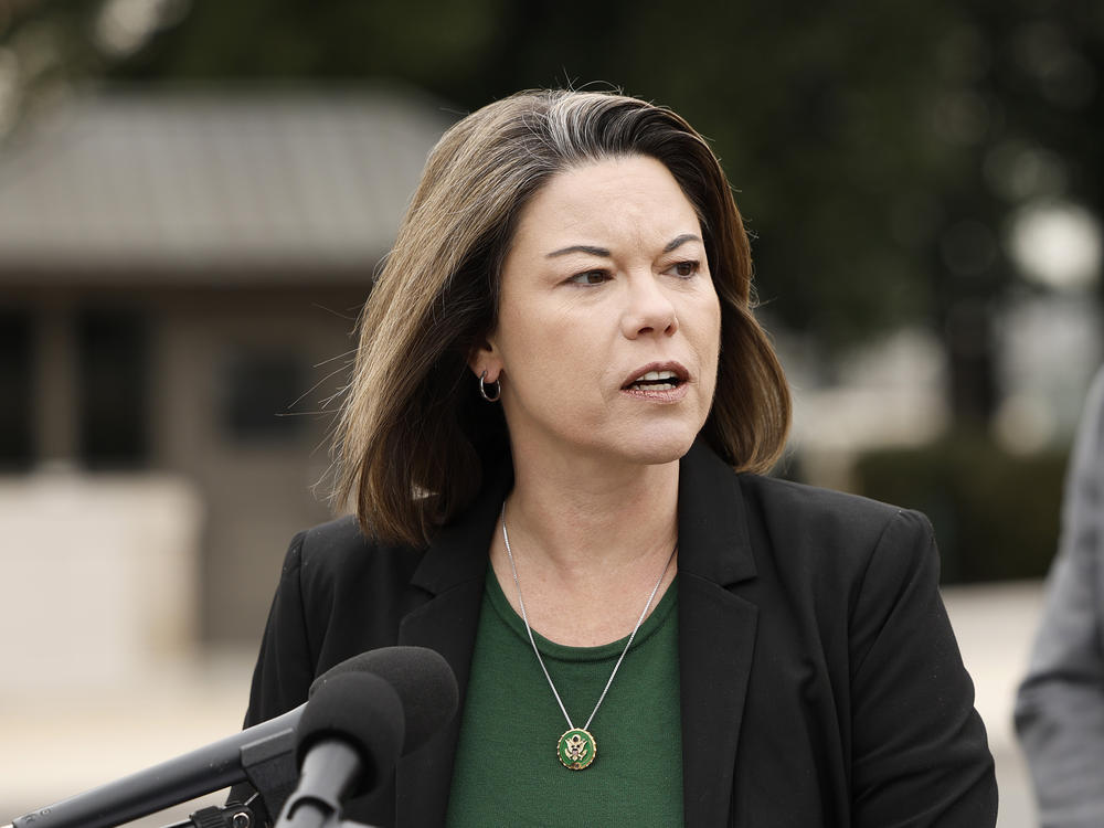 Rep. Angie Craig, D-Minn., pictured here speaking at a press conference earlier this month, was attacked inside the elevator of her Washington, D.C., apartment complex on Thursday.