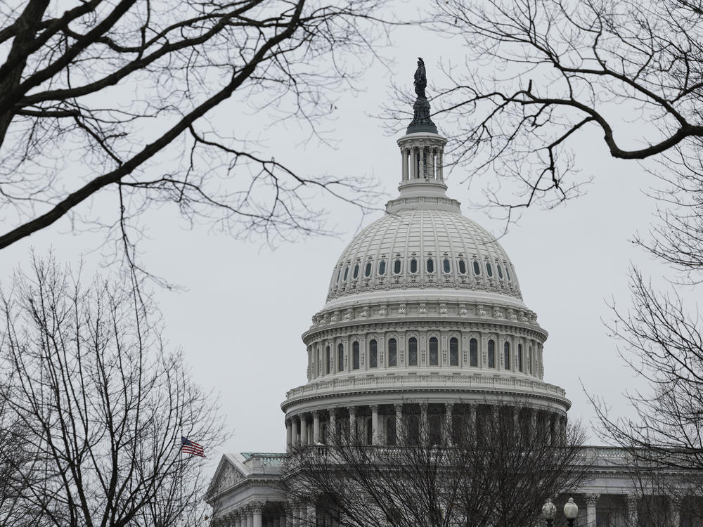 The U.S. Capitol Building is seen on Jan. 19, 2023.