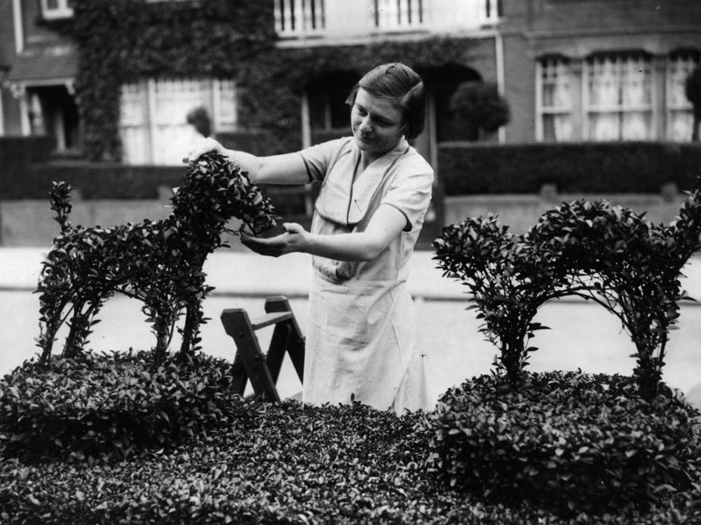 A woman trims a hedge which she has cut into the shape of a dog and cat fighting. Have you made animal-inspired artwork? We invite you to share it with us.