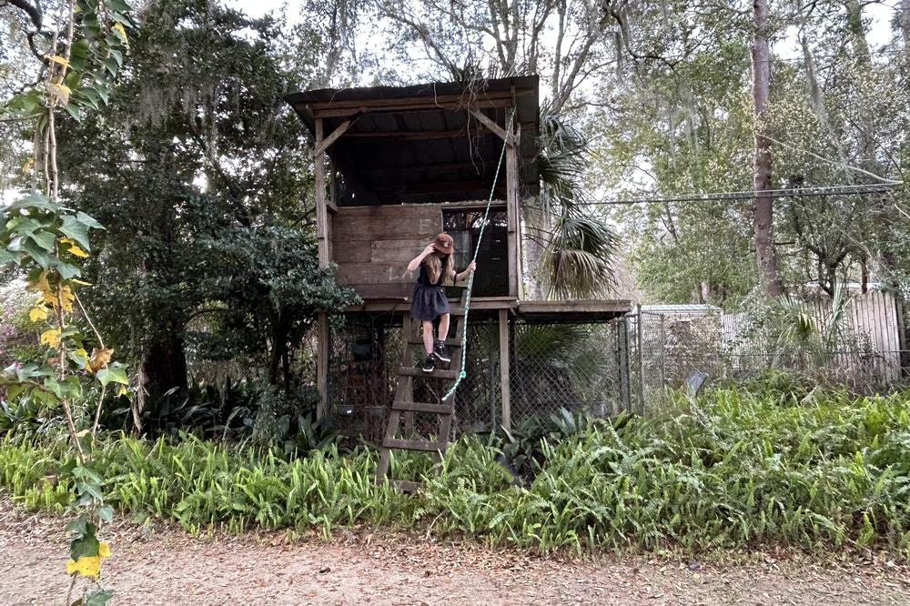Liz Bostock climbs down from her backyard treehouse in Gainesville, Fla.