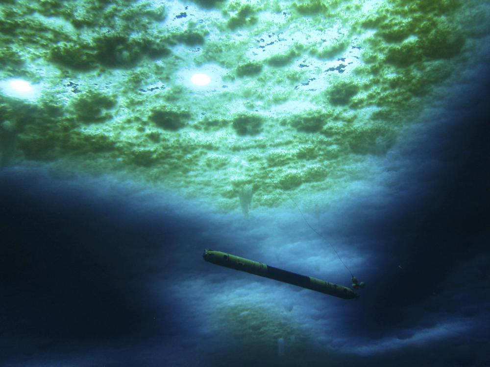 A robot nicknamed Icefin operates under the sea ice near McMurdo Station in Antarctica in 2020. The pencil-shaped robot is giving scientists their first look at the forces eating away at the Thwaites glacier.