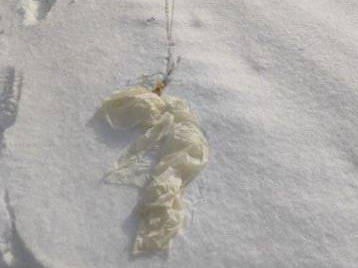 One of the balloons the General Staff of the Armed Forces of Ukraine says they shot down.