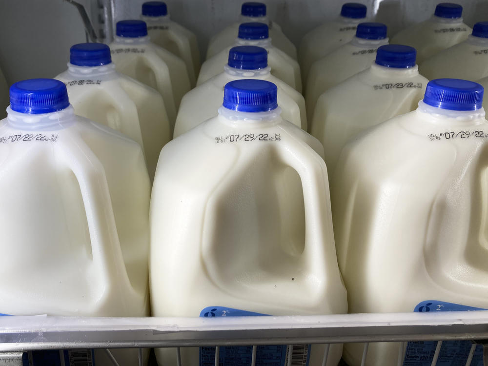 Milk is displayed at a grocery store in Philadelphia, Tuesday, July 12, 2022. Food and Drug Administration officials issued guidance that says plant-based beverages don't pretend to be from dairy animals – and that U.S. consumers aren't confused by the difference.