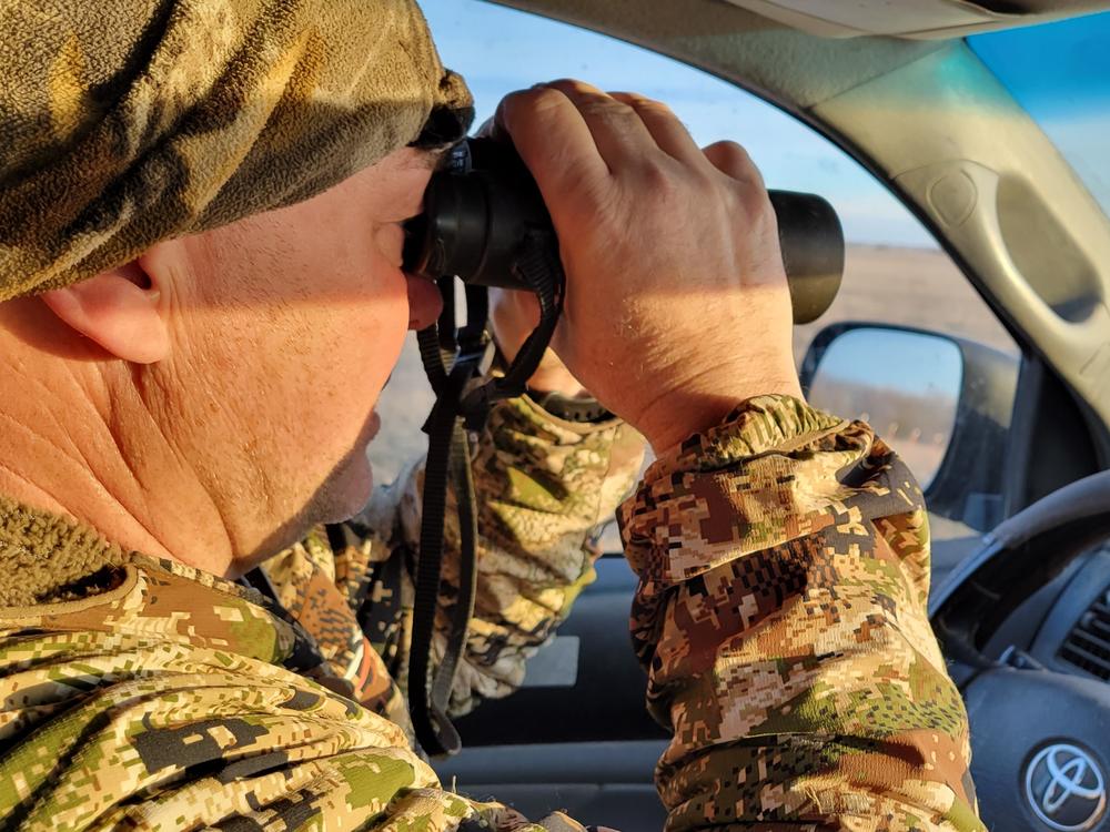 Master falconer Monte Markley searches for a good place to fly his new prairie falcon.