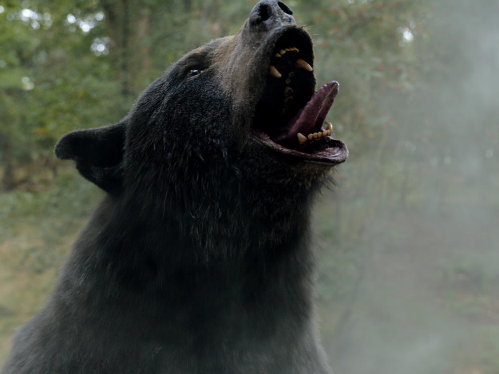 The title<em> Cocaine Bear</em> says it all, and the film delivers on that promise in 95 minutes.