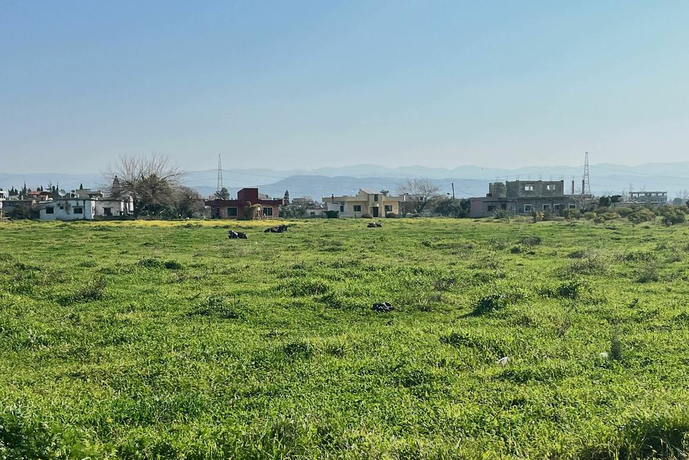 This part of Syria is lush with rolling hills and many here are rural families who once lived off the land.