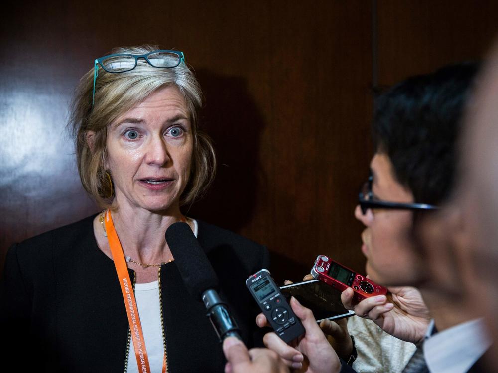 Jennifer Doudna, a biochemist at the University of California, Berkeley and one of the pioneers in the discovery and use of CRISPR, speaking with reporters at the scientific summit in Hong Kong in 2018. Despite exciting advances, genome-editing still faces technical and ethical challenges, she says.