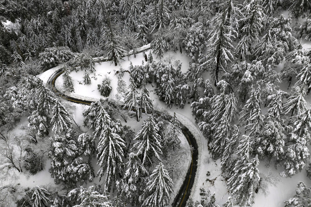 State Route 138 winds through snow-covered trees near Hesperia, Calif., on March 1, 2023.