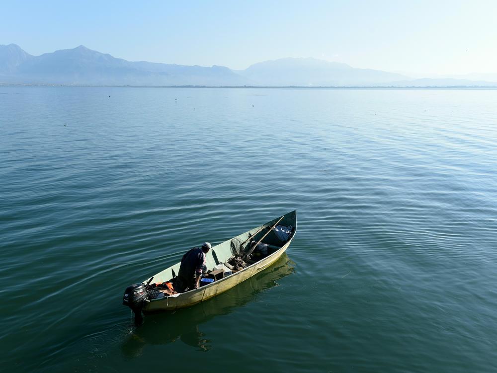 Overfishing and poaching have been detrimental to marine wildlife, including the Shkodra's lake, a body of water that straddles Albania and Montenegro, which is shown above.