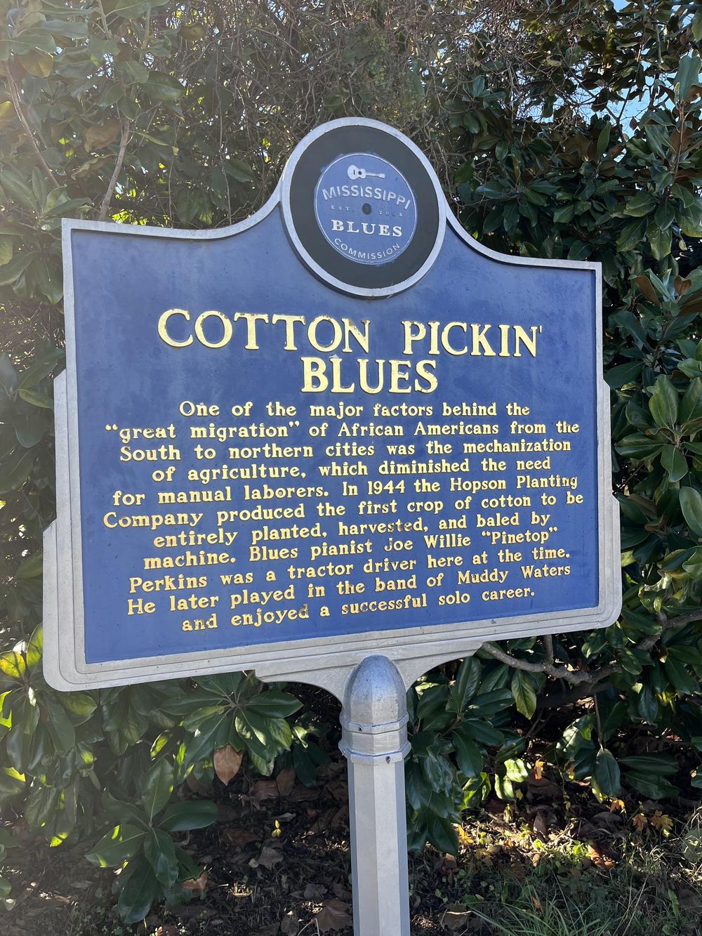 Some civil rights leaders in the Delta worry that most blues tourists aren't getting the full story about the artform's origins from oppression and the struggle for equal rights.