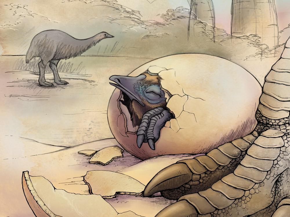 An artist's impression of elephant birds in their natural habitat, Madagascar.