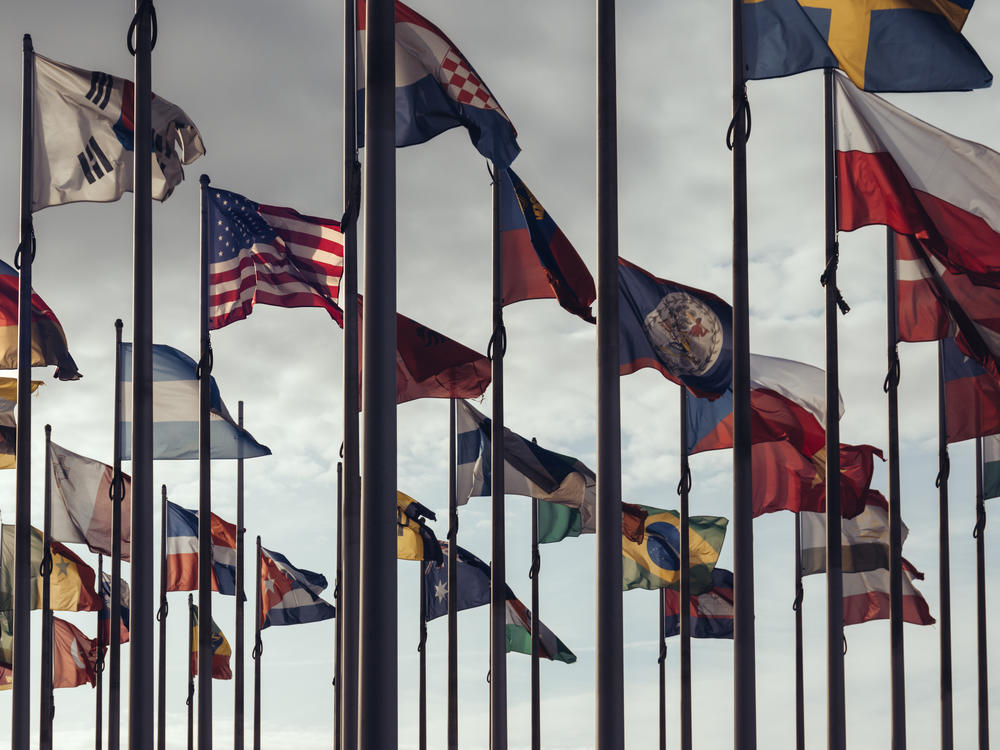 Flags of different nations. The new Freedom House report finds that the gap between the number of countries where freedom has improved and where it has declined is at its narrowest in 17 years.
