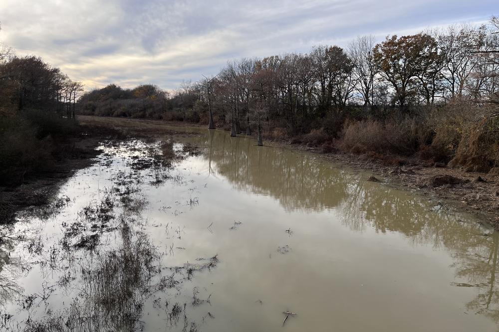 The Black Bayou near Glendora, Miss., where it's believed that Emmett Till's body was dumped after his lynching in 1955.