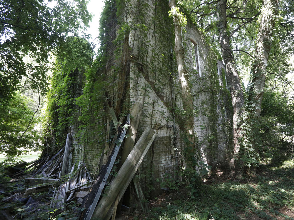Vines and tree branches cover the remnants of Bryant's Grocery and Meat Market, in Money, Miss., where in 1955, 14-year old Emmett Till allegedly whistled to Carolyn Bryant, a white woman, then wife of the store's owner.