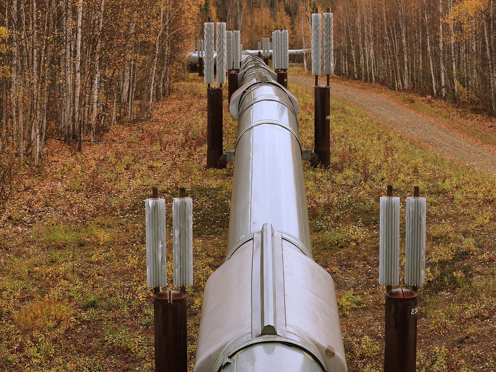 A part of the Trans Alaska Pipeline System is seen in Fairbanks, Alaska in September 2019. Environmentalists say a proposed new drilling project, the Willow Master Development Plan, would disturb Alaska's critical wildlife habitat with more surface-level oil infrastructure.