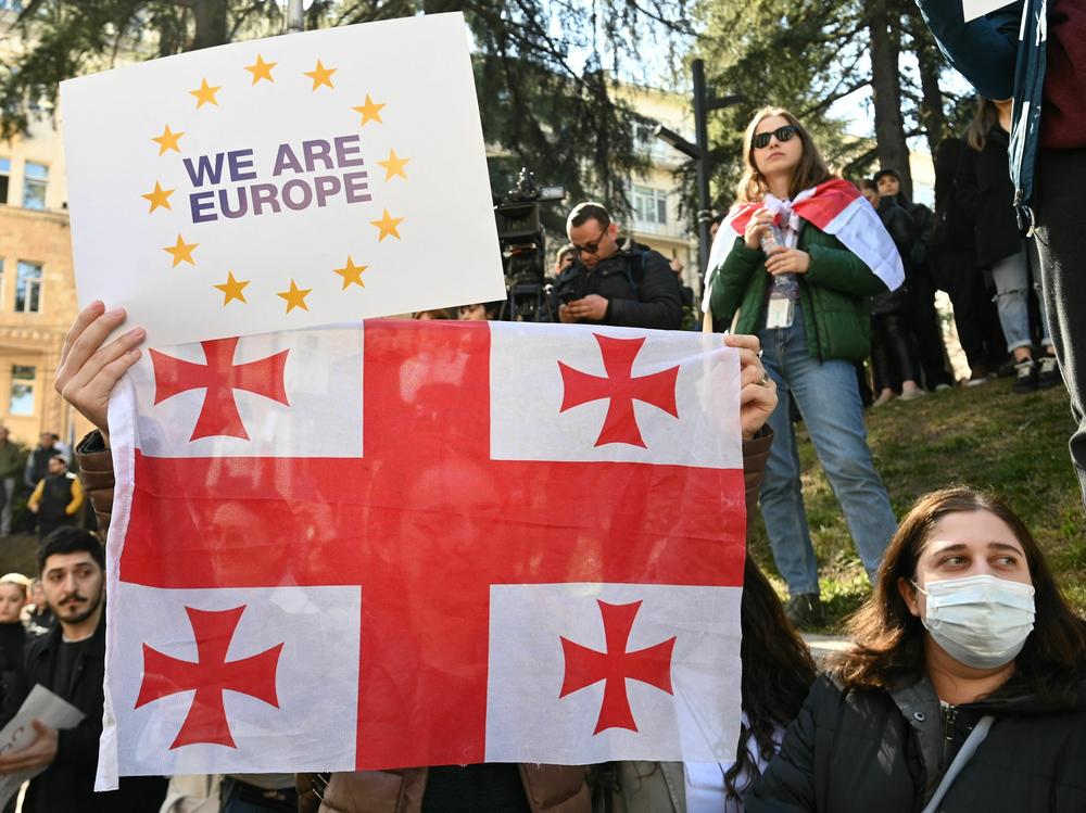 Georgian protesters rally outside the parliament as lawmakers vote to call off their controversial 