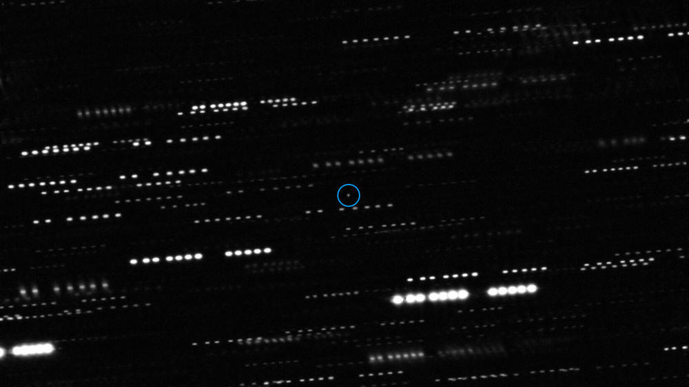 'Oumuamua is circled in this image, which was made by combining multiple telescope images. Images of surrounding stars got smeared as as the telescopes tracked the moving object.