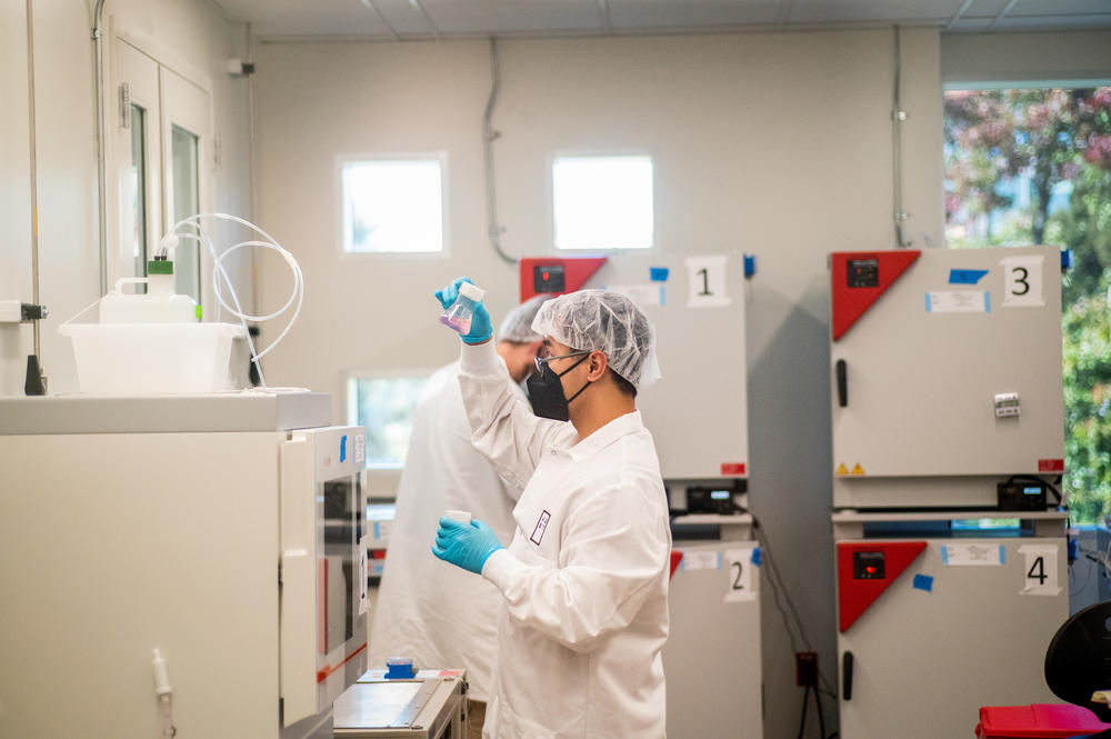 Scientists at GOOD Meat work on cell cultures which will be used for the company's cultivated meats.