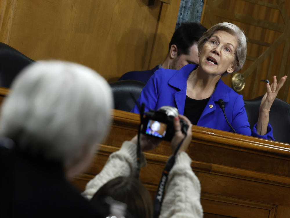 Sen. Elizabeth Warren (D-MA) questions Treasury Secretary Janet Yellen during a hearing about President's budget during a hearing by the Senate Finance Committee on Capitol Hill in Washington, D.C., on March 16, 2023. Warren and Republican Sen. Rick Scott on Wednesday called for the Fed's internal inspector general to be appointed by the president and confirmed by the Senate.