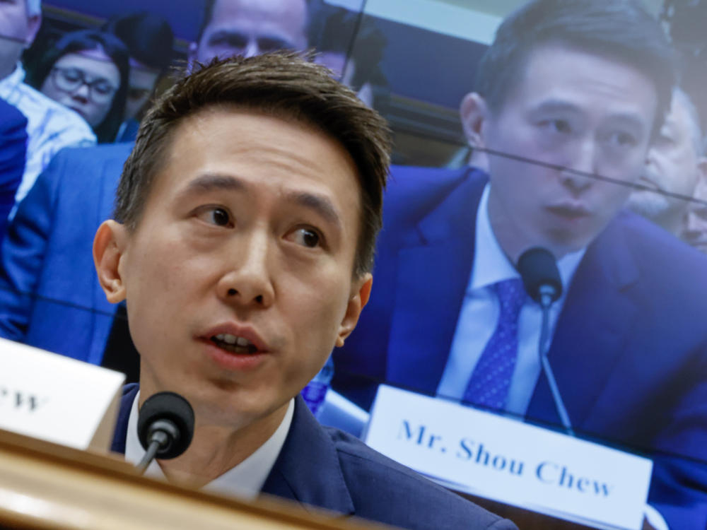 TikTok CEO Shou Zi Chew testifies before the House Energy and Commerce Committee on Capitol Hill on March 23, 2023. The hearing was a rare opportunity for lawmakers to question the leader of the short-form social media video app about the company's relationship with its Chinese owner, ByteDance, and how they handle users' sensitive personal data.