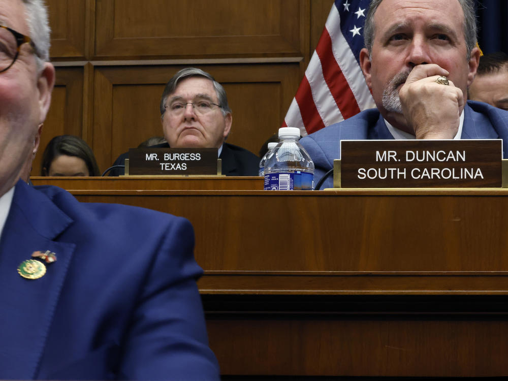 House Energy and Commerce Committee members Rep. Rick Allen (R-GA), Rep. Michael Burgess (R-TX) and Rep. Jeff Duncan (R-SC) listen to testimony from TikTok CEO Shou Zi Chew during a committee hearing  on Capitol Hill on March 23, 2023.