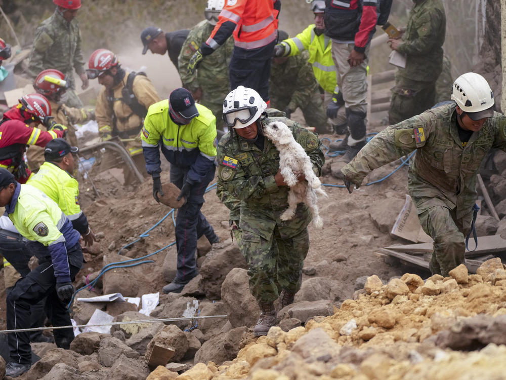 A soldier carries a dog found among the rubble of buildings destroyed by a deadly landslide that buried dozens of homes in Alausi, Ecuador, on Monday.