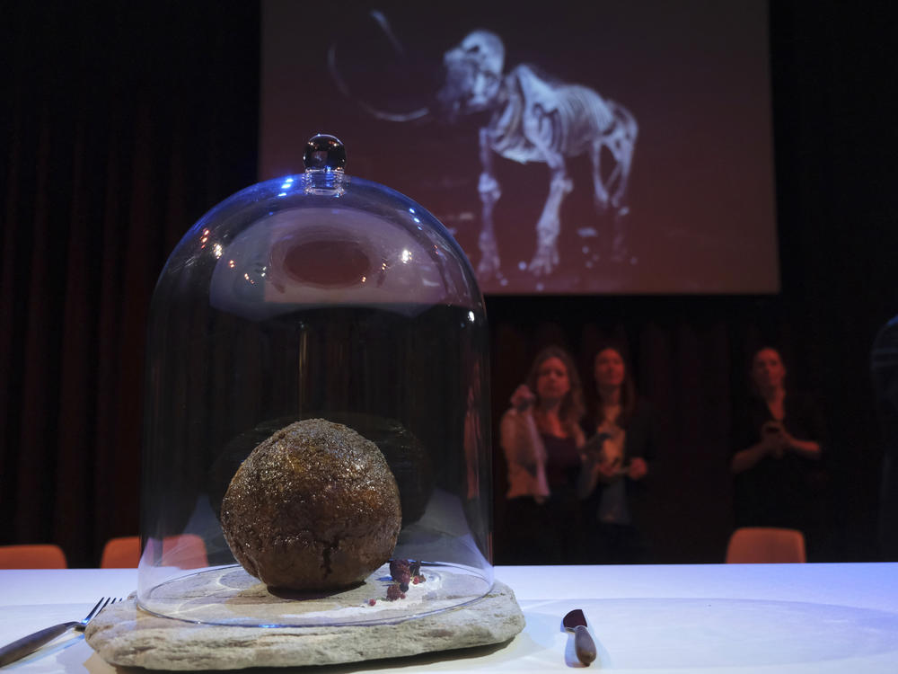 A meatball made using genetic code from the mammoth is seen at the Nemo science museum in Amsterdam on Tuesday.