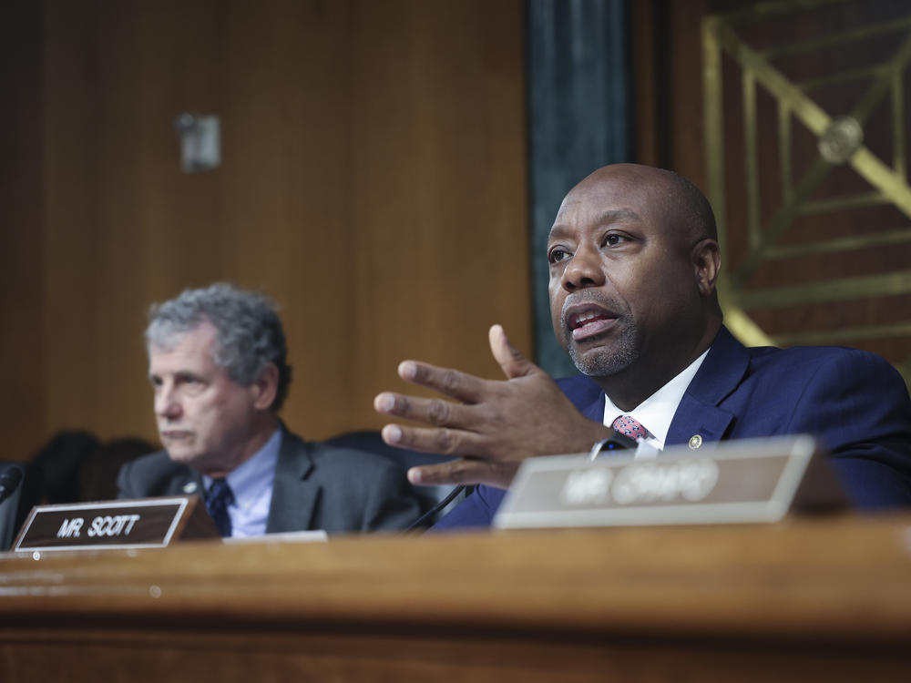 Senate Banking Committee Ranking Member Sen. Tim Scott, R-S.C., asks questions during the Senate Banking hearing about the recent bank failures. Lawmakers want to know if regulators did enough to prevent the collapse of Silicon Valley Bank and Signature Bank.