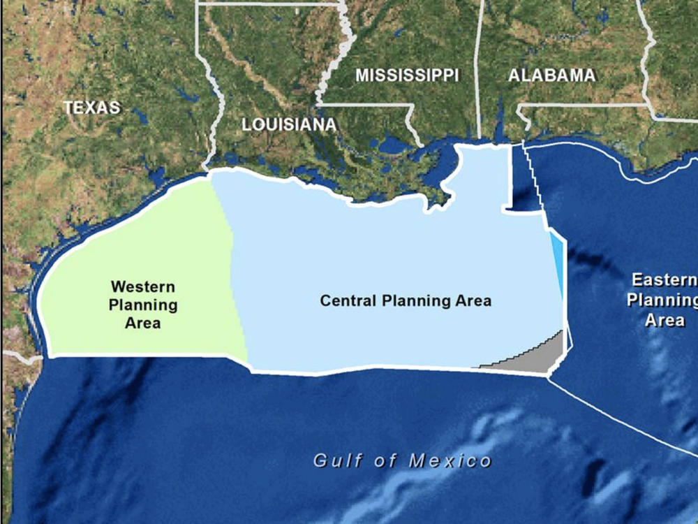 A map highlights areas where thousands of blocks of federal waters in the Gulf of Mexico were offered up in an oil and gas auction Wednesday.