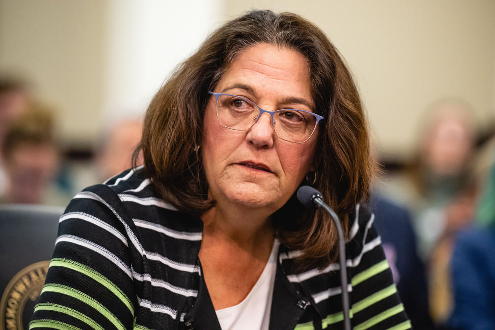 Kentucky state Sen. Karen Berg addresses the Senate Standing Committee on Families & Children at the Capitol Annex on March 14, 2023, in Frankfort, Ky.