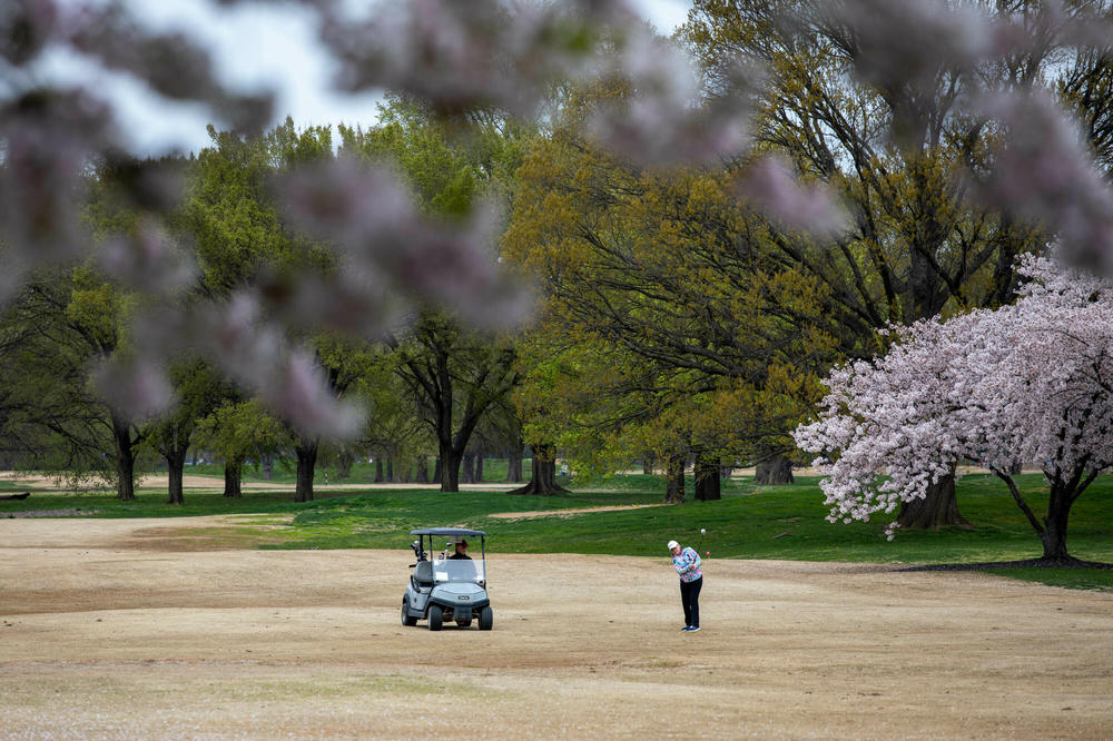 Golf's ruling bodies hope to finalize the new ball by 2026.