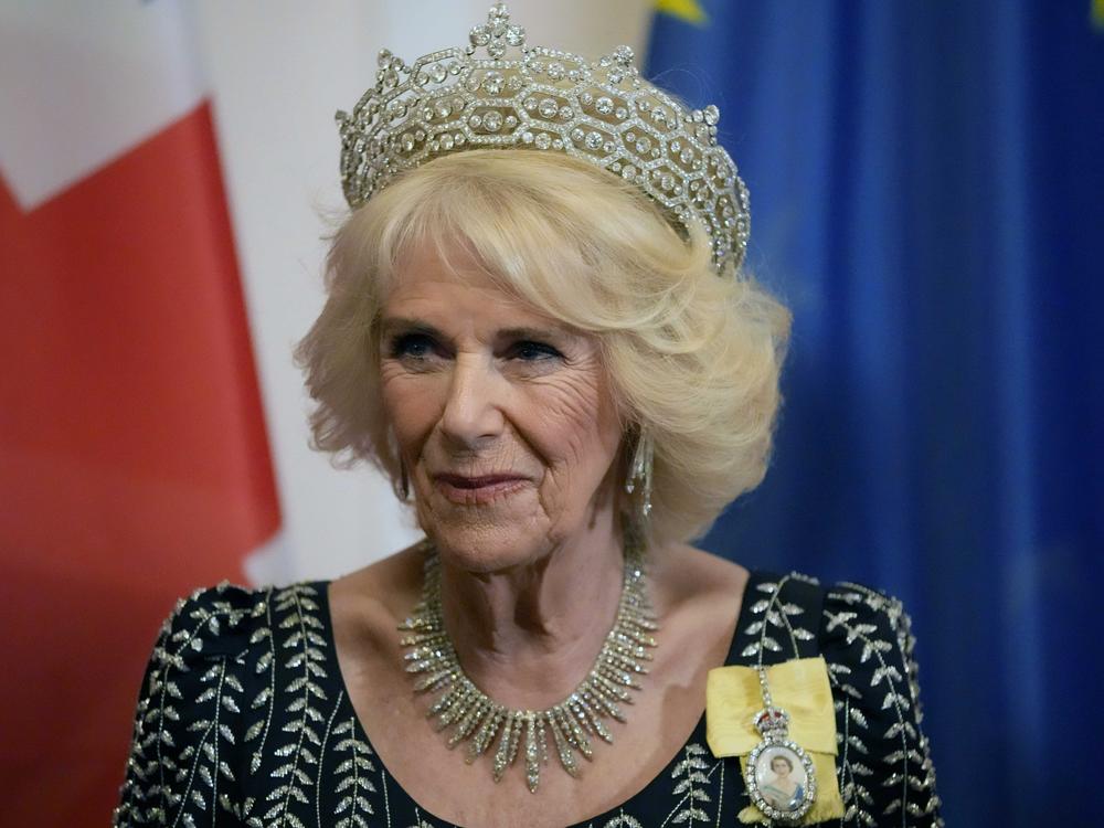 Camilla, then called the queen consort, pictured at a State Banquet in Berlin on March 29.