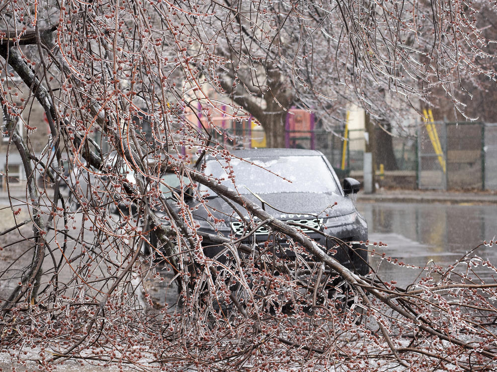 Fallen tree branches are shown on a street following an accumulation of ice rain in Montreal, Wednesday, April 5, 2023.
