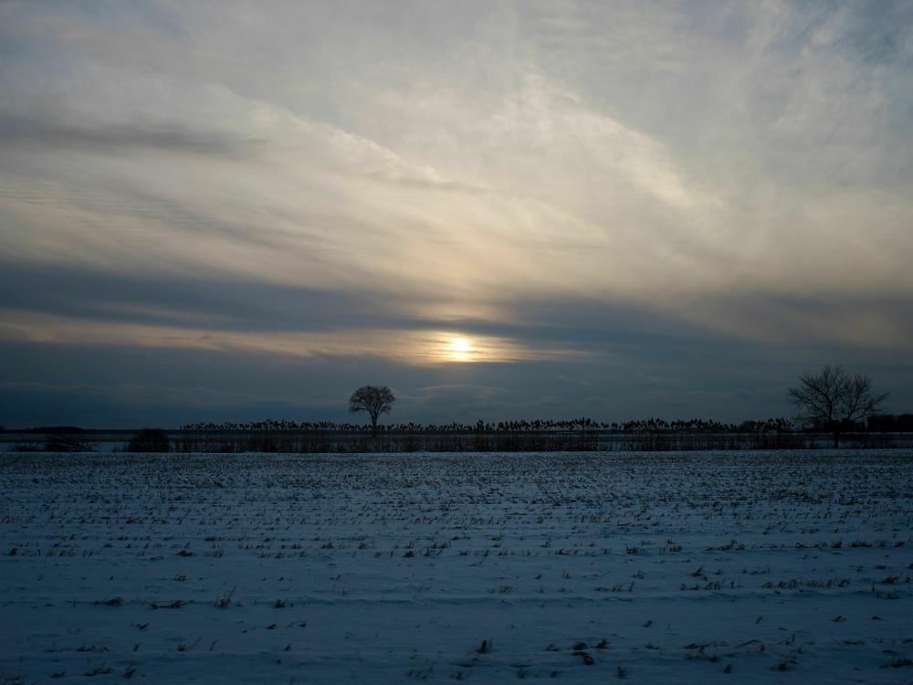 The snow-covered soya fields at the Belfontaine Holstein farm are pictured in Saint-Marc-sur-Richelieu, Quebec, on Dec. 9, 2021. Canadian Super Pigs were bred to survive the winter.