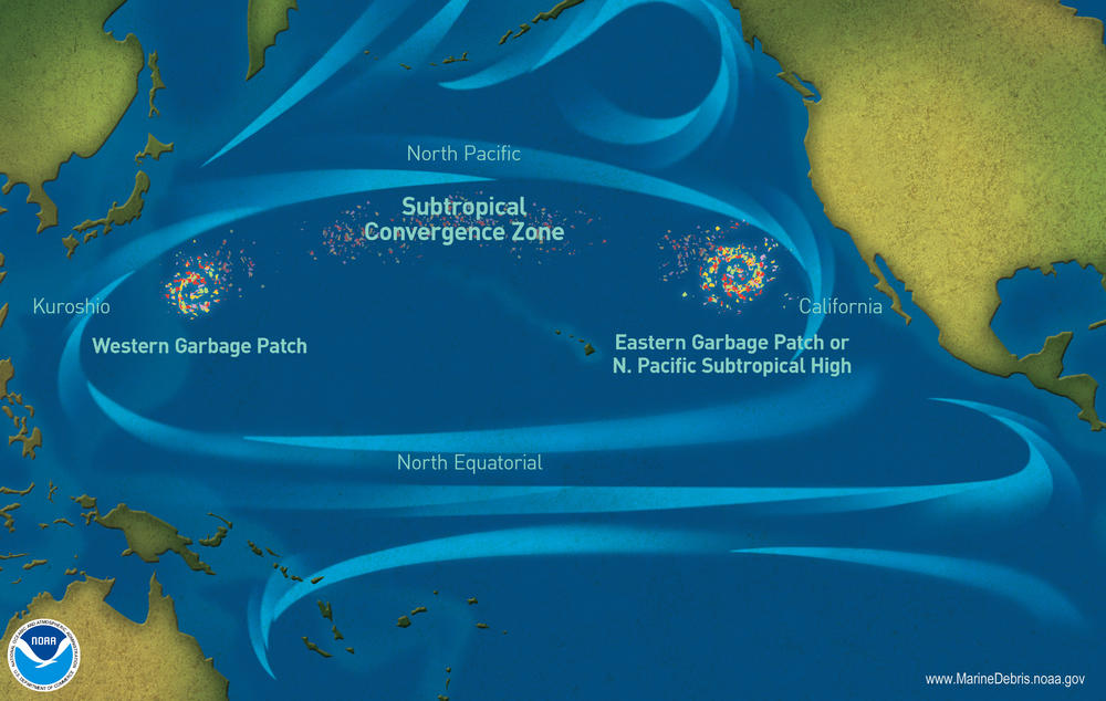 The Earth's oceans have five 