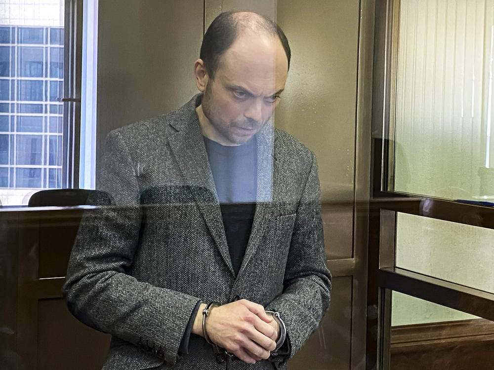 Russian opposition activist Vladimir Kara-Murza stands in a cage in a courtroom at the Moscow City Court.