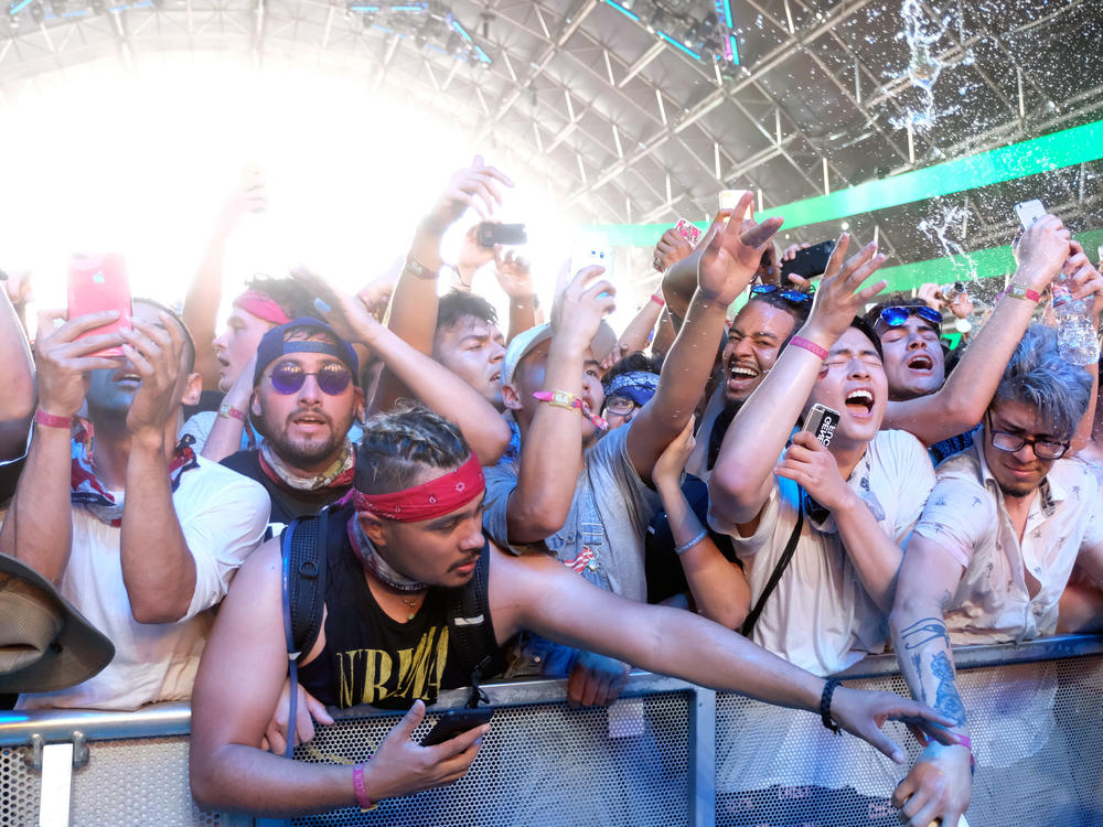 A view of the crowd at Coachella.