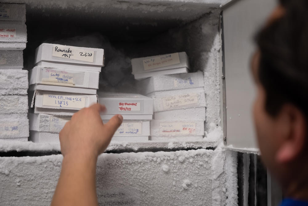 Gonzalez's team stores a small portion of their wastewater samples in the freezer. Many public health officials hope that the attention and funding for COVID surveillance ultimately extends to other pathogens too, like tracking RSV or norovirus infections.