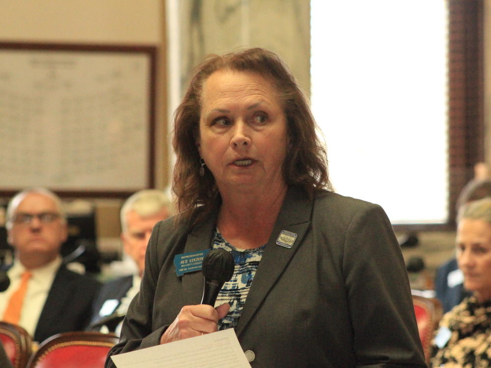 Republican House Majority Leader Sue Vinton speaking on the House floor in Helena, Mont., on April 26, 2023 shortly before Republicans voted to formally punish Democratic Rep. Zooey Zephyr.