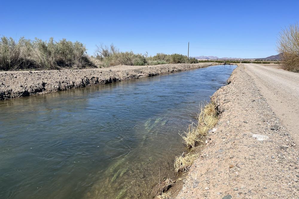 A diversion canal off the Colorado River in southern Arizona.