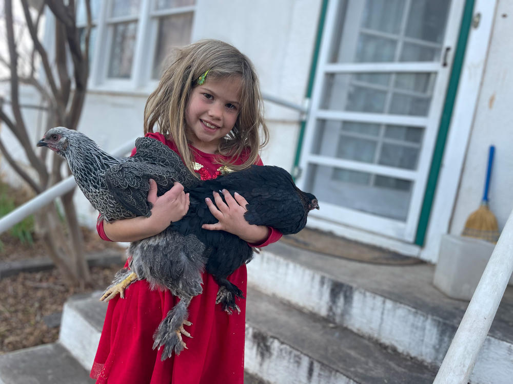 The author's daughter, Rosy, with two of the family chickens. Among Rosy's discoveries: 