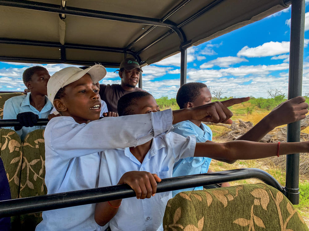 Kaurihongua (pointing) struggles in the classroom. But on the safari he's the most outgoing, engaged kid in the truck, calling out landmarks as though he were a guide himself.